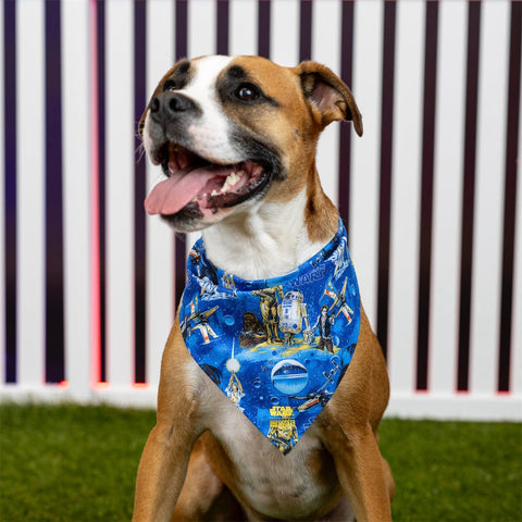 rsvlts-star-wars-dog-bandana-star-wars™-luke-sleepwalker-dog-bandana