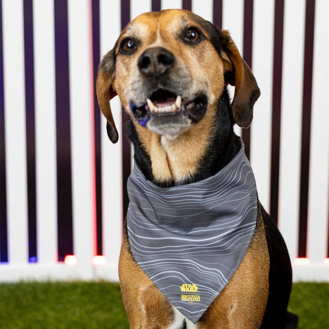 rsvlts-star-wars-dog-bandana-star-wars™-mandalorian™-beskar-steel-dog-bandana