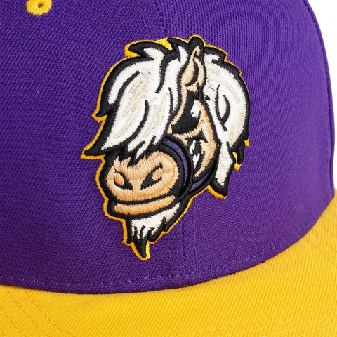 rsvlts-parks-and-rec-hat-pawnee-mini-horses-tlb-snapback-cap
