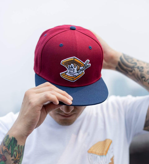 rsvlts-rsvlts-hat-tlb-hamilton-city-smores-snapback-cap